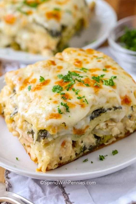 Chicken Lasagna